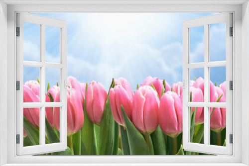 Fototapeta Naklejka Na Ścianę Okno 3D - Tulipany krajobraz