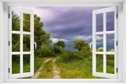 Fototapeta Naklejka Na Ścianę Okno 3D - Summer green forest before the storm