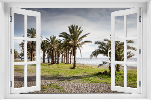 Fototapeta Naklejka Na Ścianę Okno 3D - palm trees on a beach in spain