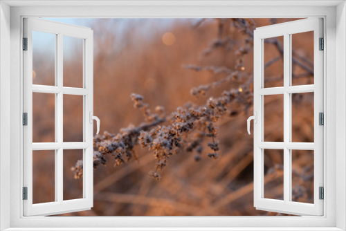 Fototapeta Naklejka Na Ścianę Okno 3D - frost