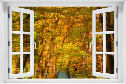 Fototapeta Naklejka Na Ścianę Okno 3D - Forêt d'automne