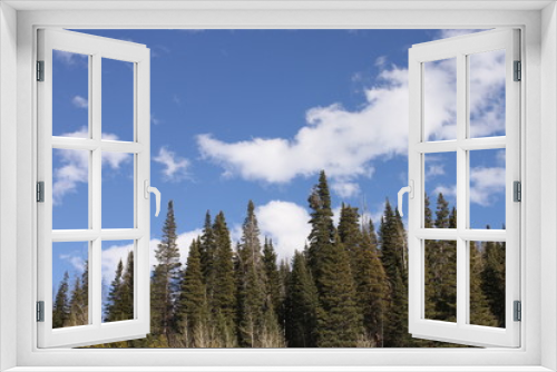 Fototapeta Naklejka Na Ścianę Okno 3D - Colorado Landscape