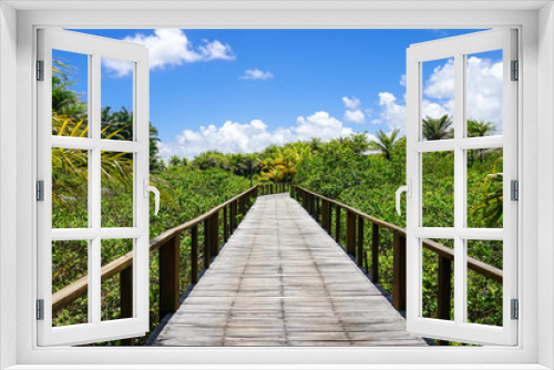 Fototapeta Naklejka Na Ścianę Okno 3D - Perspective of wood bridge in deep tropical forest. Wooden bridge walkway in rain forest supporting lush ferns and palms trees during hot sunny summer. Praia do