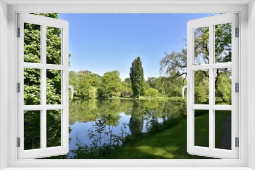 Fototapeta Naklejka Na Ścianę Okno 3D - Les différent sortes d'arbres reflétant dans l'étang principal au domaine provincial de Rivierenhof à Anvers 