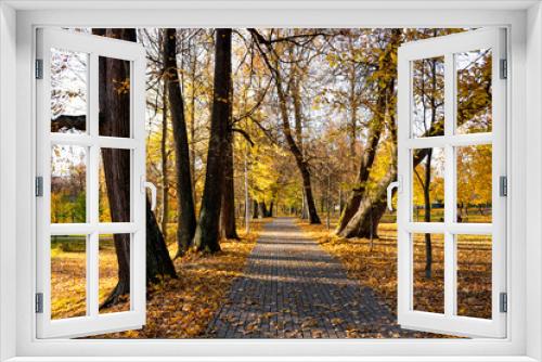 Fototapeta Naklejka Na Ścianę Okno 3D - Walking path in the park among the old linden trees, golden autumn, beautiful landscape