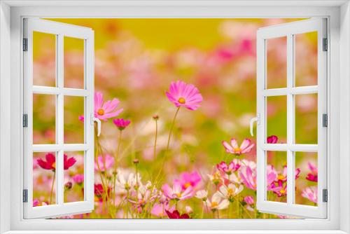 Fototapeta Naklejka Na Ścianę Okno 3D - Colorful flowers 17