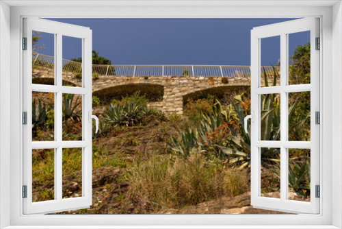 Fototapeta Naklejka Na Ścianę Okno 3D - Italy, Cinque Terre, Manarola, a plant in a garden