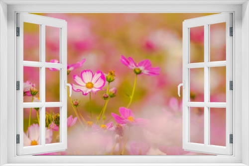 Fototapeta Naklejka Na Ścianę Okno 3D - Colorful flowers 20