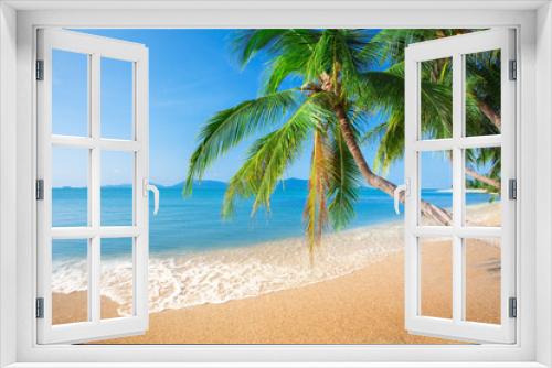 Fototapeta Naklejka Na Ścianę Okno 3D - beach and coconut plm tree
