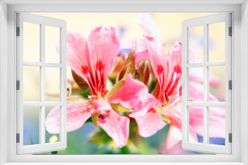Fototapeta Naklejka Na Ścianę Okno 3D - Orchid