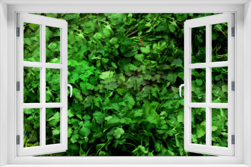 Fototapeta Naklejka Na Ścianę Okno 3D - A lot of organic natural bunches of green parsley, mint and dill fbackground texture