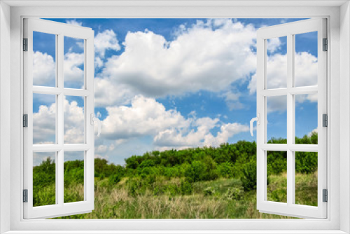 Fototapeta Naklejka Na Ścianę Okno 3D - Green forest, blue sky with white clouds