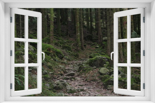 Fototapeta Naklejka Na Ścianę Okno 3D - Paysage forêt montagne