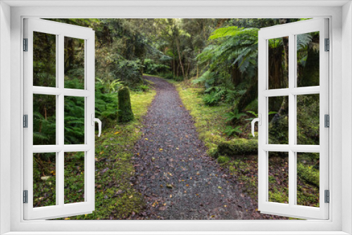 Fototapeta Naklejka Na Ścianę Okno 3D - hiking track leading through temperate rainforest in New Zealand
