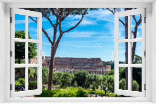 Fototapeta Naklejka Na Ścianę Okno 3D - Italy, Rome, Roman Forum, a tree in front of the roman colosseum