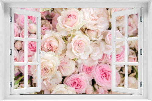Fototapeta Naklejka Na Ścianę Okno 3D - soft color roses close up