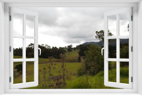 Fototapeta Naklejka Na Ścianę Okno 3D - Very green landscape between Melbourne and Sydney Australia