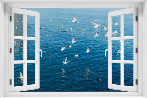 Fototapeta Naklejka Na Ścianę Okno 3D - white seagulls flying over tranquil blue sea, barcelona, spain