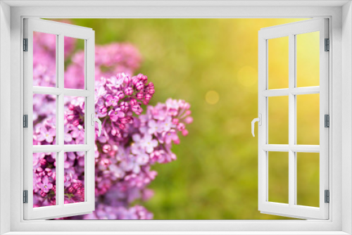 Fototapeta Naklejka Na Ścianę Okno 3D - Spring forward, springtime concept - web banner, background of purple flowers