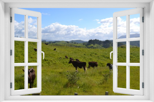 Fototapeta Naklejka Na Ścianę Okno 3D - glückliche Kühe