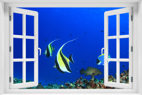 Fototapeta Naklejka Na Ścianę Okno 3D - Coral reef and fish in ocean 