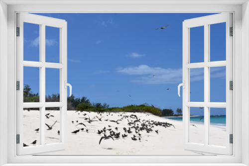 Fototapeta Naklejka Na Ścianę Okno 3D - Seychellen - Bird Island