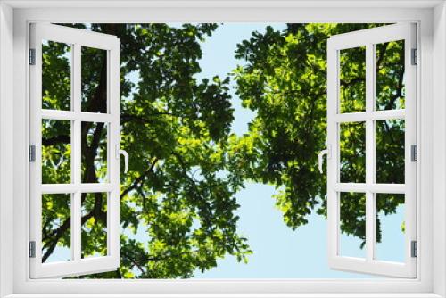 Fototapeta Naklejka Na Ścianę Okno 3D - Frühlingsfrisch