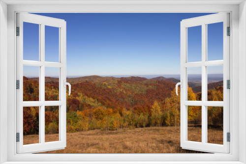 Fototapeta Naklejka Na Ścianę Okno 3D - Autumn in Carpatians mountains Ukraine Lypovitca