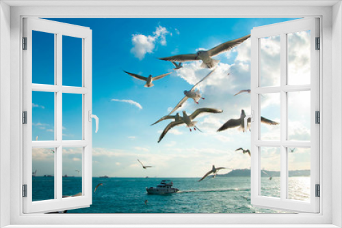 Fototapeta Naklejka Na Ścianę Okno 3D - Seagulls in the skies of Istanbul above the sea a very beautiful view