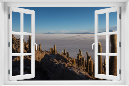 Fototapeta Naklejka Na Ścianę Okno 3D - The worlds largest salt flat Bolivia, South America Salar de Uyuni seen from the unique cactus island called Incahuasi island