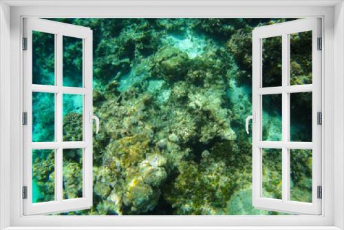 Fototapeta Naklejka Na Ścianę Okno 3D - Diving in the Maldives with corals and fish