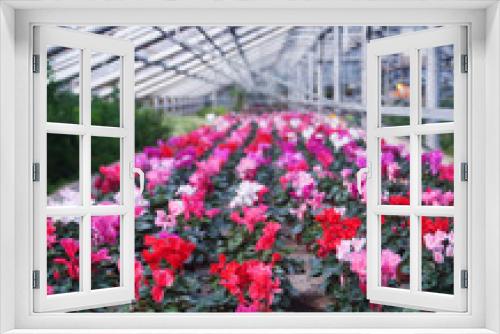 Fototapeta Naklejka Na Ścianę Okno 3D - A Beautiful greenhouse with flowers.