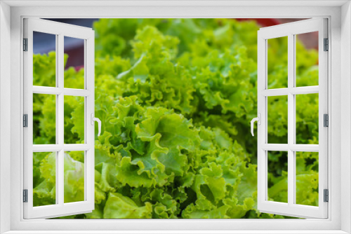 Fototapeta Naklejka Na Ścianę Okno 3D - Fresh lettuce leaves, green fresh salad background 