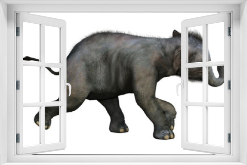 Fototapeta Naklejka Na Ścianę Okno 3D - 3D Rendering Indian Elephant Baby on White