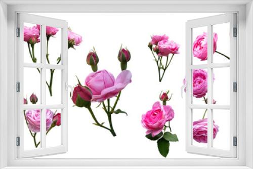 Fototapeta Naklejka Na Ścianę Okno 3D - gałązki kwitnącej róży