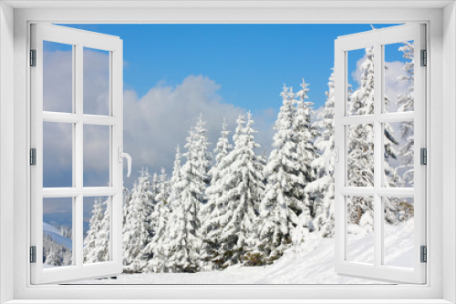 Fototapeta Naklejka Na Ścianę Okno 3D - Winter tree