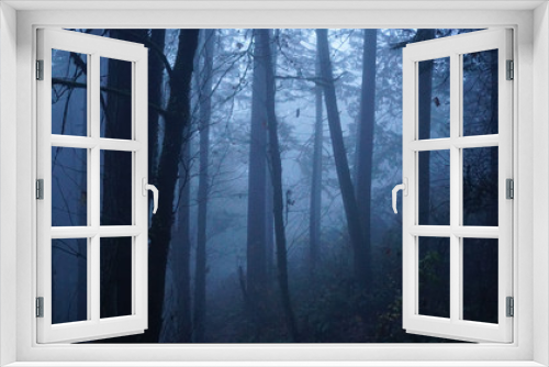 Fototapeta Naklejka Na Ścianę Okno 3D - spooky forest 