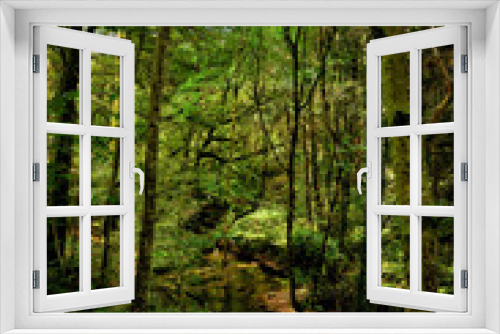 Fototapeta Naklejka Na Ścianę Okno 3D - Huelgoat forest in Brittany, France