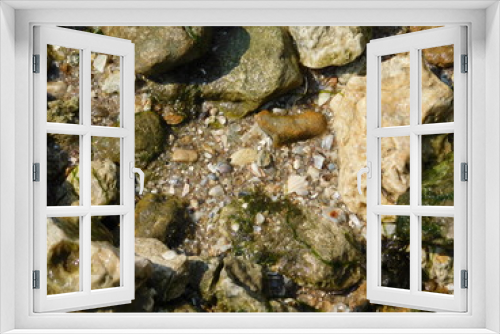 Fototapeta Naklejka Na Ścianę Okno 3D - river bank: sand, stones and shells