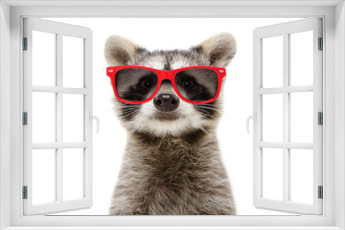 Fototapeta Naklejka Na Ścianę Okno 3D - Portrait of a funny raccoon in sunglasses isolated on white background