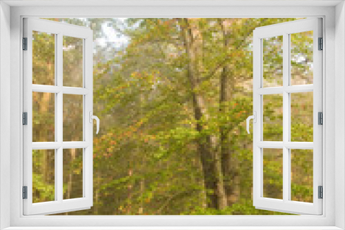 Fototapeta Naklejka Na Ścianę Okno 3D - Herbstmorgen