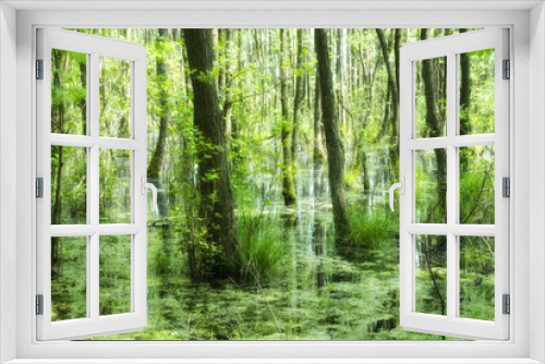 Fototapeta Naklejka Na Ścianę Okno 3D - sommerliche auenlandschaft mit laubbäumen