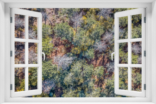 Fototapeta Naklejka Na Ścianę Okno 3D - Aerial view of drone, with typical Portuguese forest, crown of trees, pines and oaks