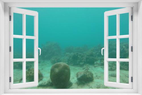 Fototapeta Naklejka Na Ścianę Okno 3D - seychelles coral reefs