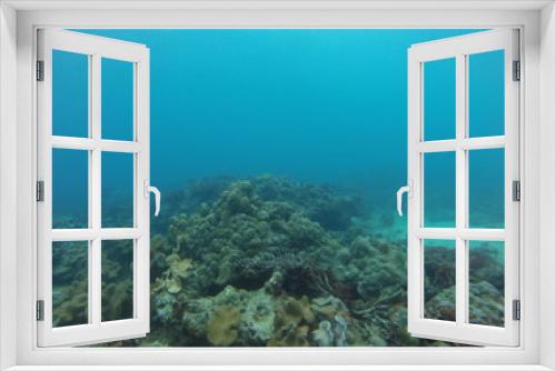 Fototapeta Naklejka Na Ścianę Okno 3D - seychelles coral reefs