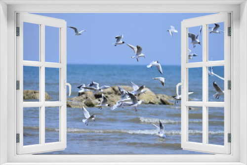 Fototapeta Naklejka Na Ścianę Okno 3D - Seagulls fly in free