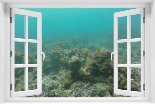 Fototapeta Naklejka Na Ścianę Okno 3D - snorkeling seychelles