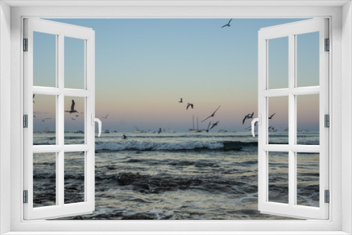 Fototapeta Naklejka Na Ścianę Okno 3D - seagulls over the ocean 