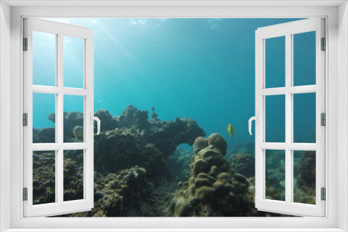 Fototapeta Naklejka Na Ścianę Okno 3D - seychelles snorkeling