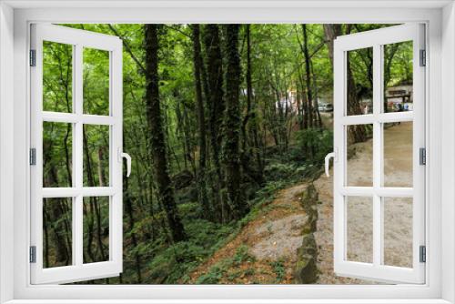 Fototapeta Naklejka Na Ścianę Okno 3D - Steep forest slope.